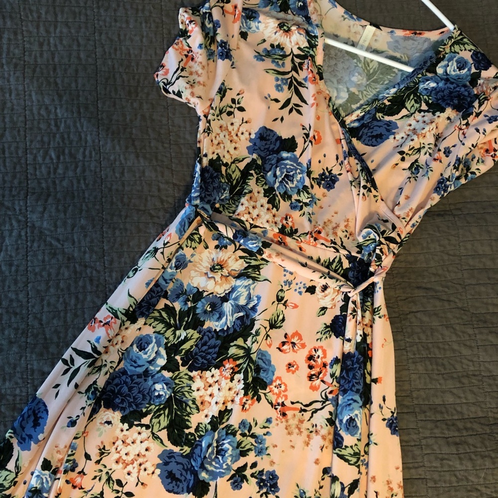 PinkBlush Dress (Maternity Photos or Baby Shower)